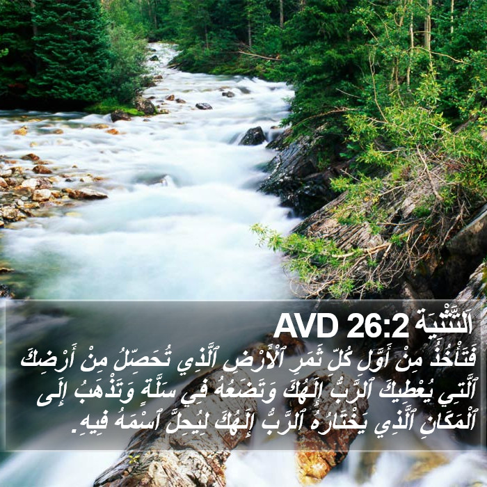 اَلتَّثْنِيَة 26:2 AVD Bible Study