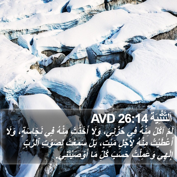 اَلتَّثْنِيَة 26:14 AVD Bible Study