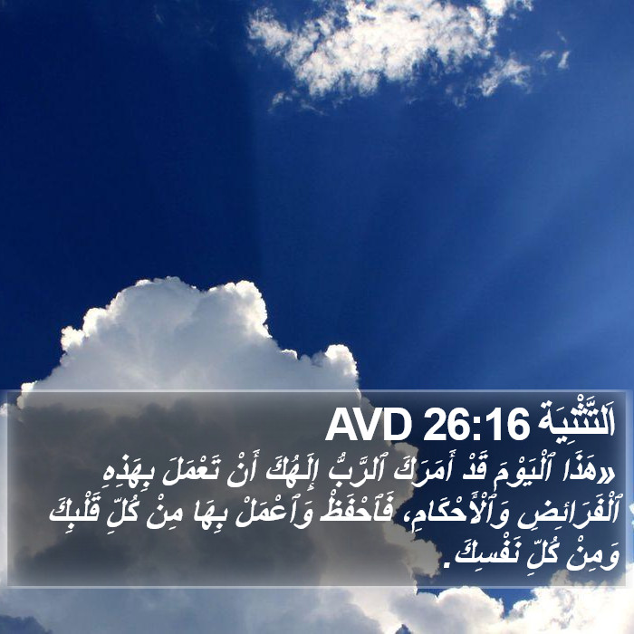 اَلتَّثْنِيَة 26:16 AVD Bible Study