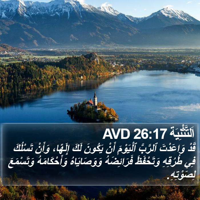 اَلتَّثْنِيَة 26:17 AVD Bible Study