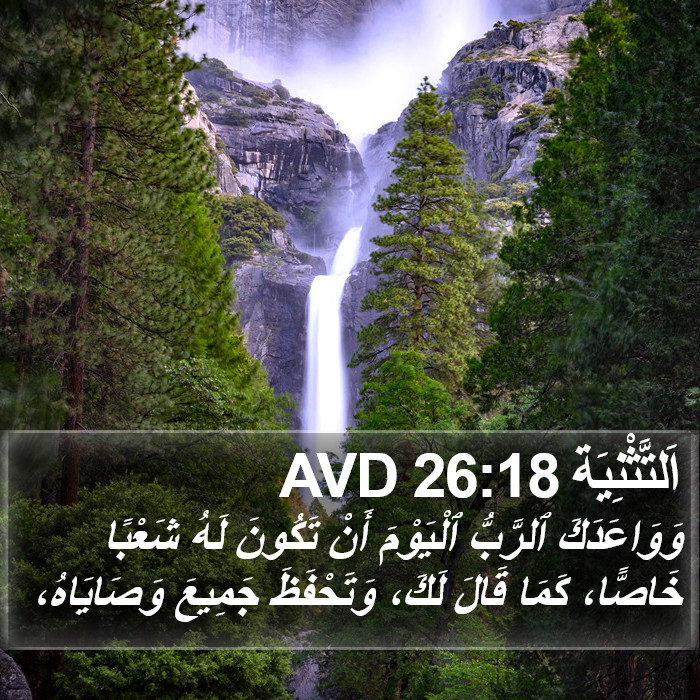 اَلتَّثْنِيَة 26:18 AVD Bible Study