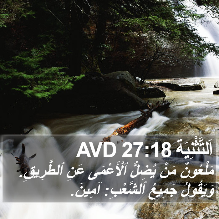 اَلتَّثْنِيَة 27:18 AVD Bible Study