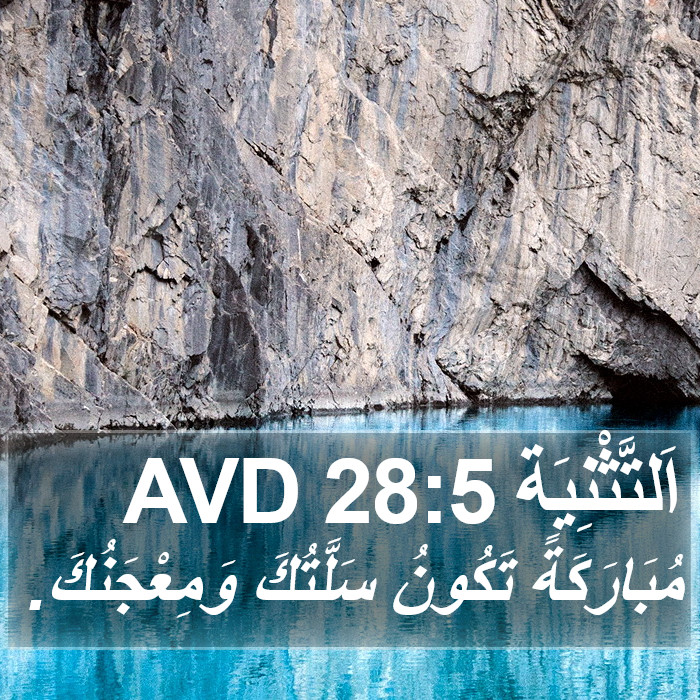 اَلتَّثْنِيَة 28:5 AVD Bible Study