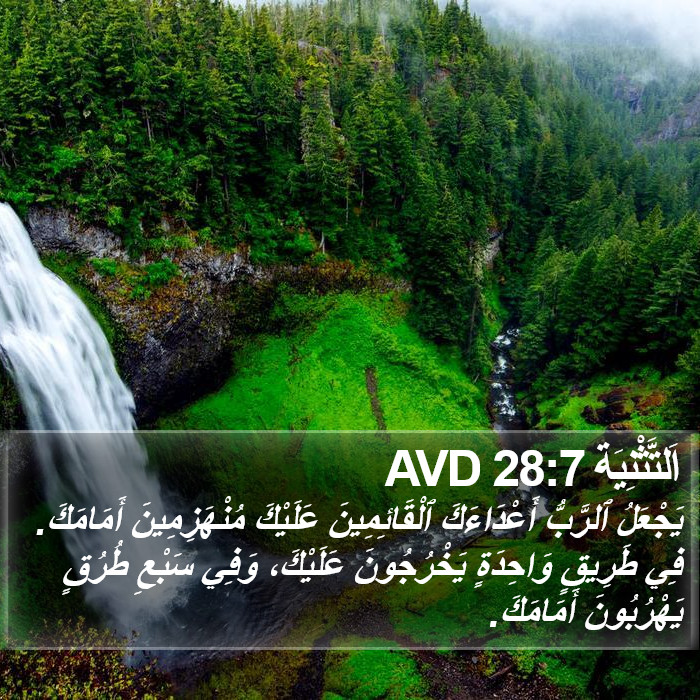 اَلتَّثْنِيَة 28:7 AVD Bible Study