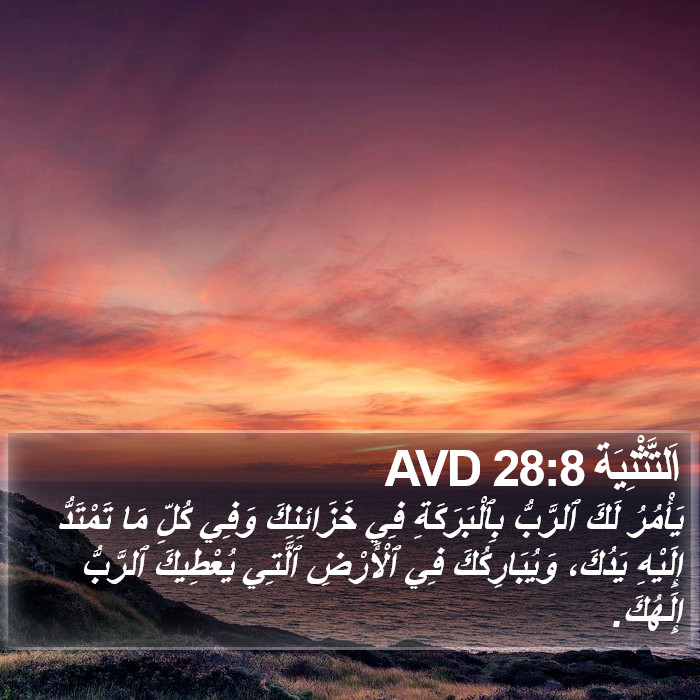 اَلتَّثْنِيَة 28:8 AVD Bible Study