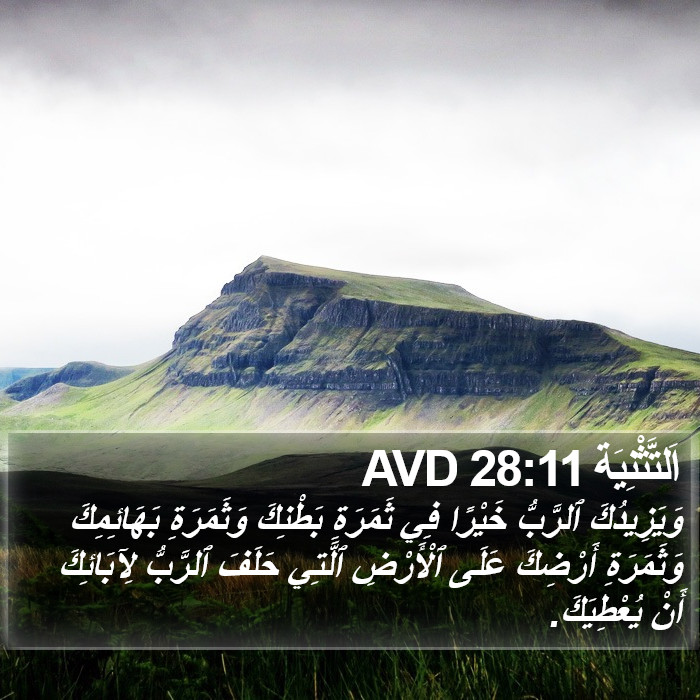 اَلتَّثْنِيَة 28:11 AVD Bible Study