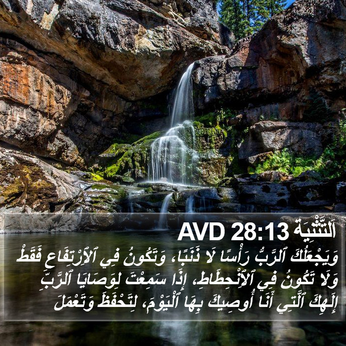 اَلتَّثْنِيَة 28:13 AVD Bible Study