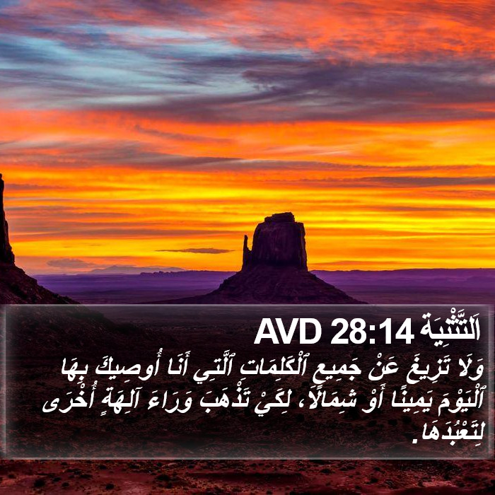 اَلتَّثْنِيَة 28:14 AVD Bible Study