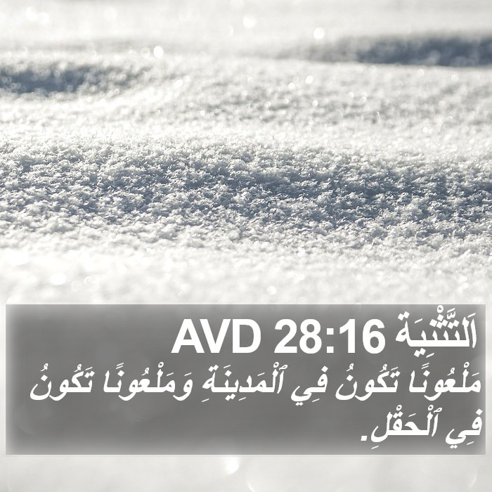 اَلتَّثْنِيَة 28:16 AVD Bible Study