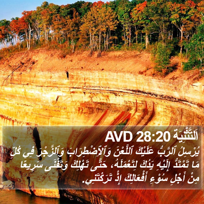 اَلتَّثْنِيَة 28:20 AVD Bible Study