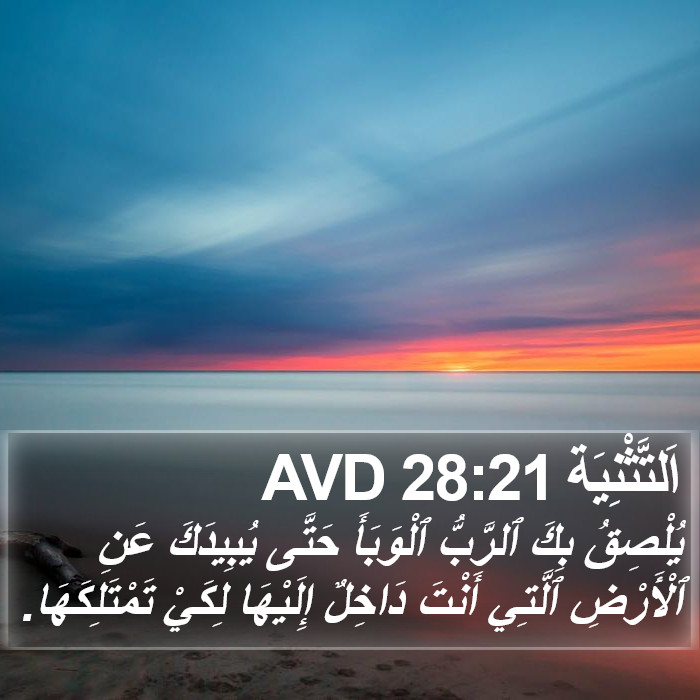 اَلتَّثْنِيَة 28:21 AVD Bible Study