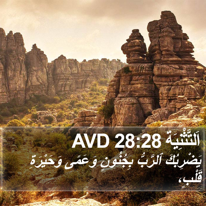 اَلتَّثْنِيَة 28:28 AVD Bible Study