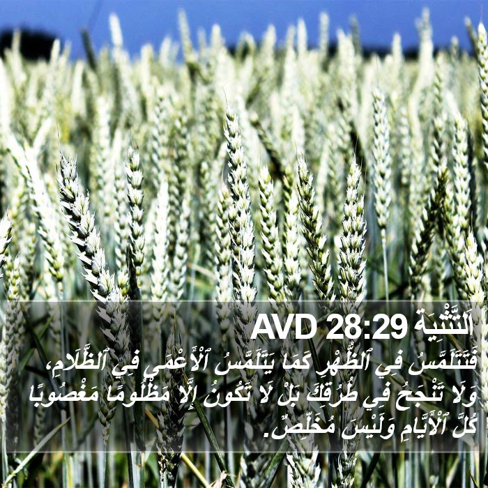 اَلتَّثْنِيَة 28:29 AVD Bible Study