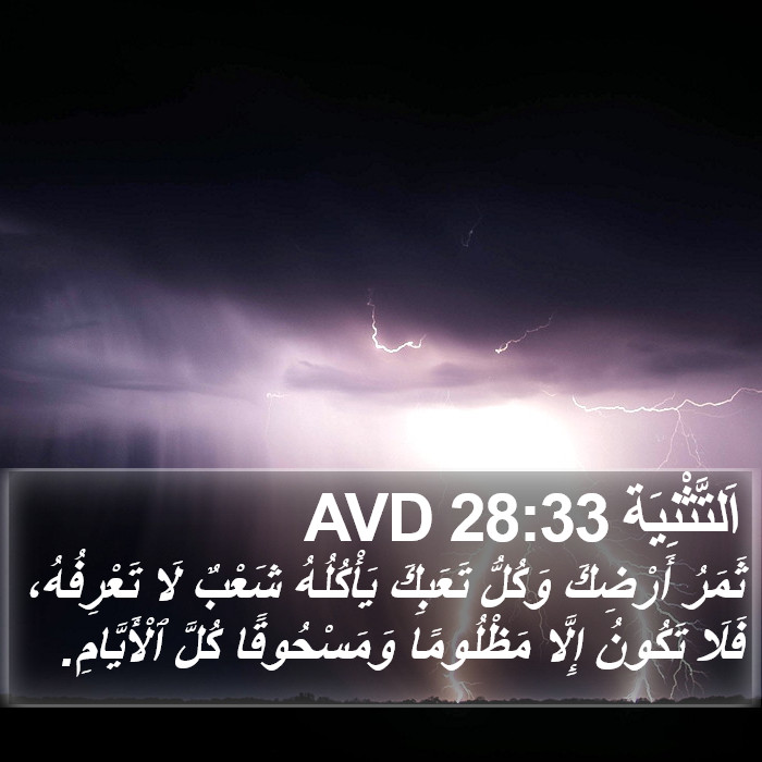 اَلتَّثْنِيَة 28:33 AVD Bible Study