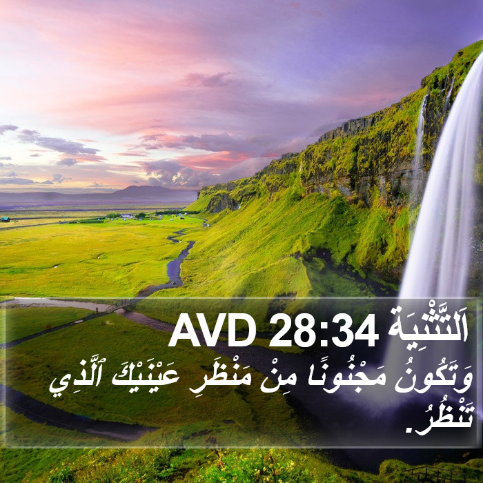 اَلتَّثْنِيَة 28:34 AVD Bible Study