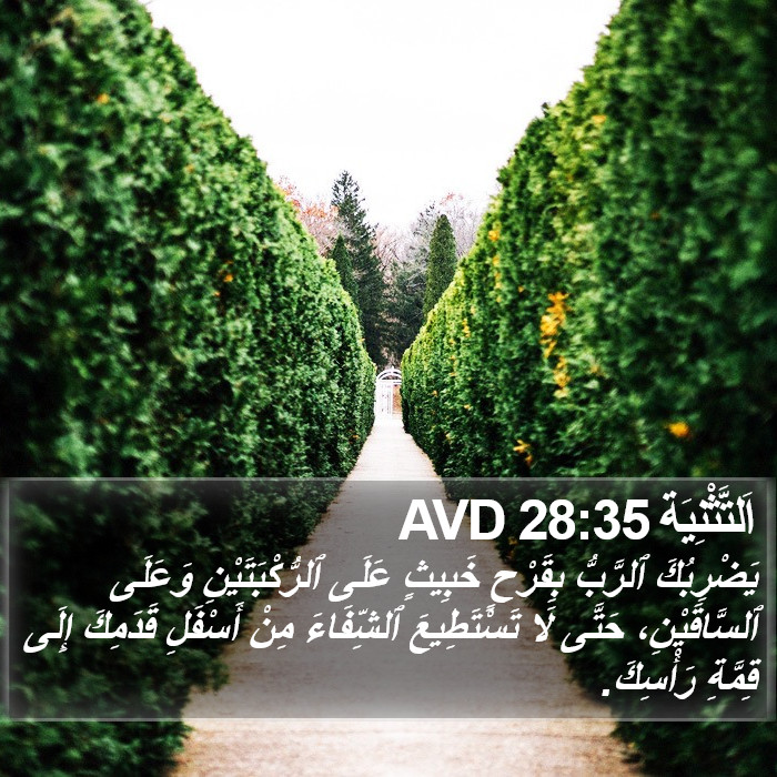 اَلتَّثْنِيَة 28:35 AVD Bible Study