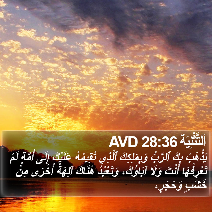 اَلتَّثْنِيَة 28:36 AVD Bible Study