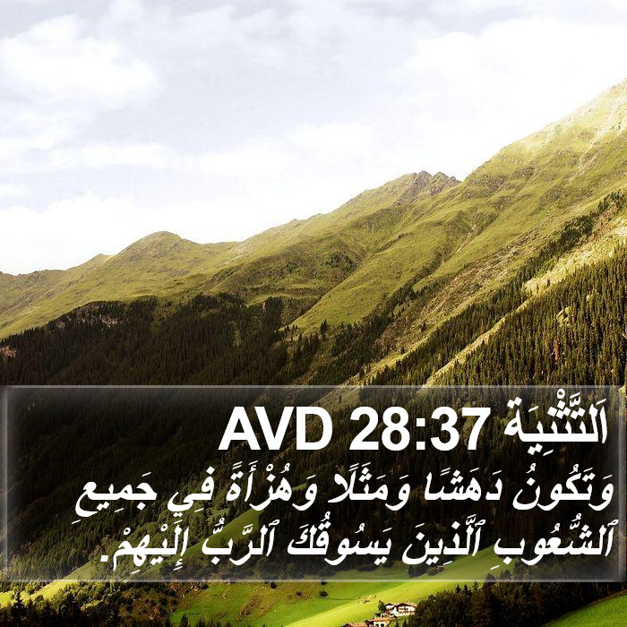 اَلتَّثْنِيَة 28:37 AVD Bible Study