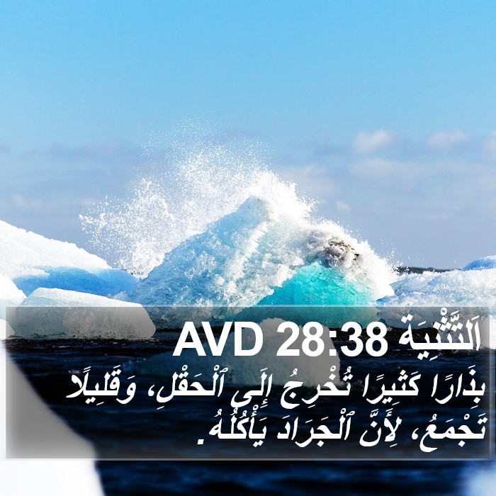 اَلتَّثْنِيَة 28:38 AVD Bible Study