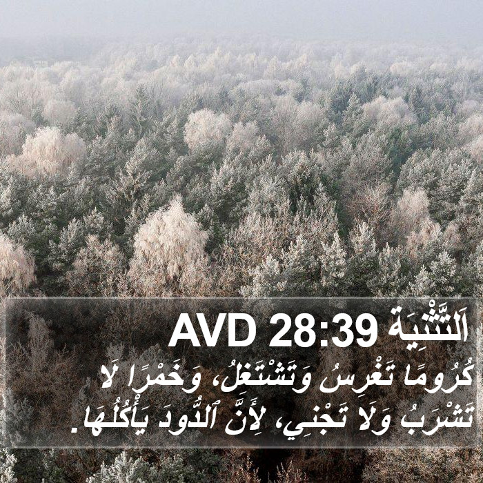 اَلتَّثْنِيَة 28:39 AVD Bible Study
