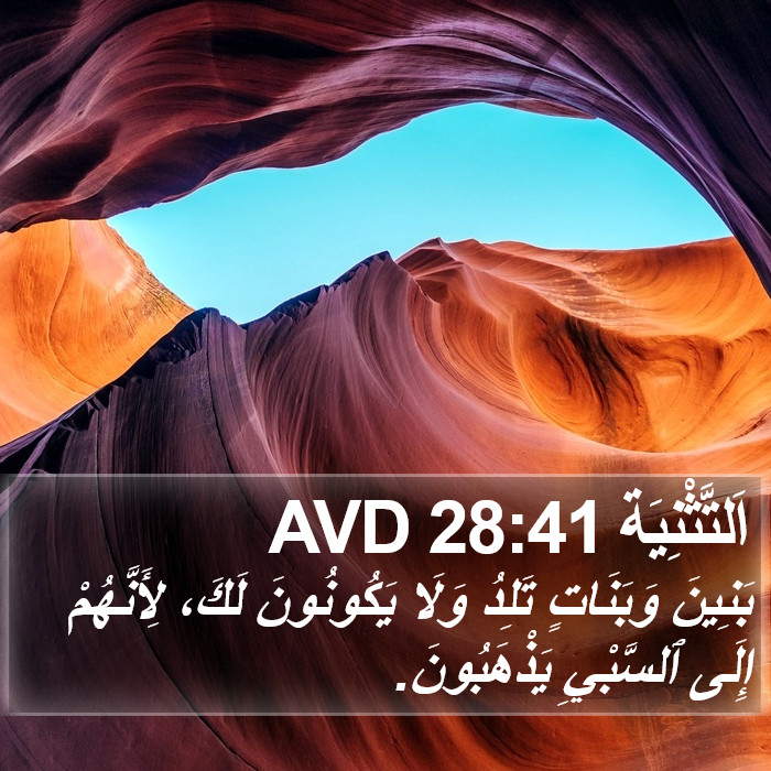 اَلتَّثْنِيَة 28:41 AVD Bible Study