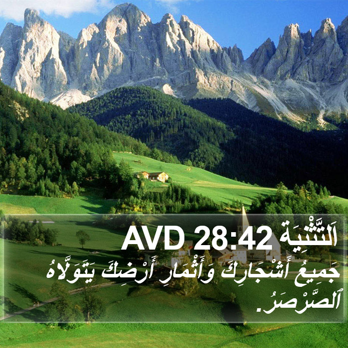 اَلتَّثْنِيَة 28:42 AVD Bible Study