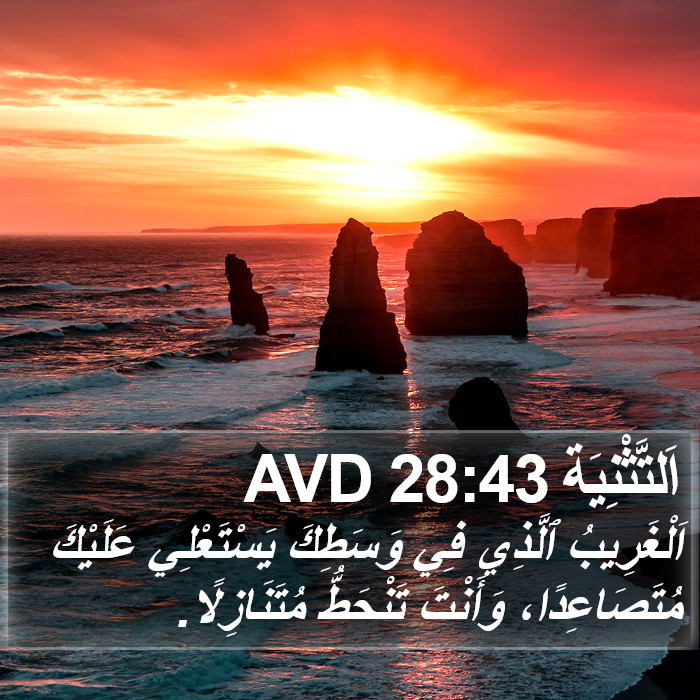 اَلتَّثْنِيَة 28:43 AVD Bible Study