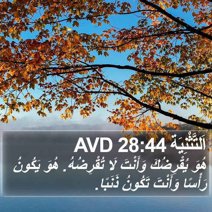 اَلتَّثْنِيَة 28:44 AVD Bible Study
