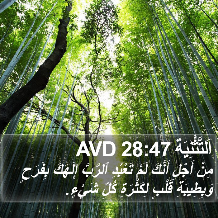 اَلتَّثْنِيَة 28:47 AVD Bible Study
