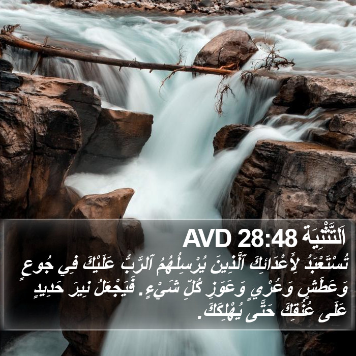 اَلتَّثْنِيَة 28:48 AVD Bible Study