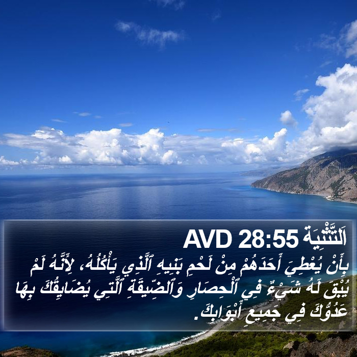 اَلتَّثْنِيَة 28:55 AVD Bible Study