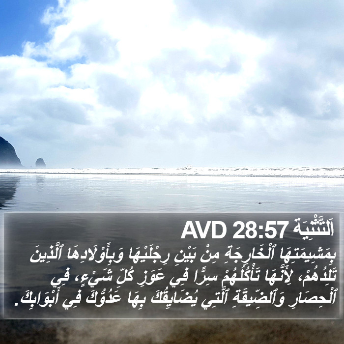 اَلتَّثْنِيَة 28:57 AVD Bible Study