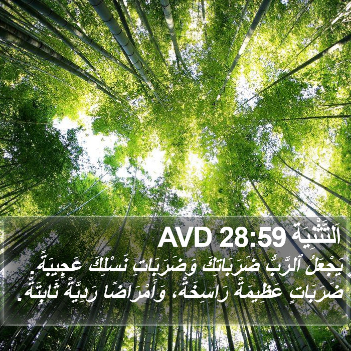 اَلتَّثْنِيَة 28:59 AVD Bible Study