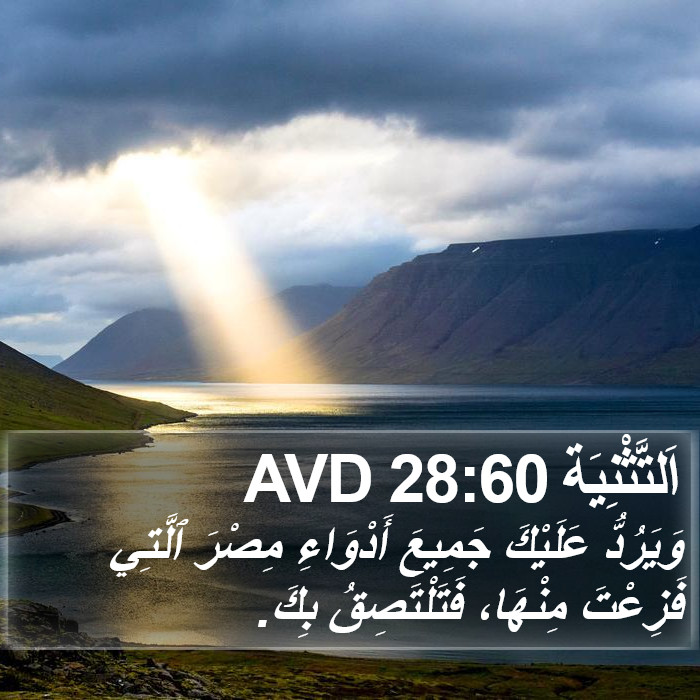 اَلتَّثْنِيَة 28:60 AVD Bible Study