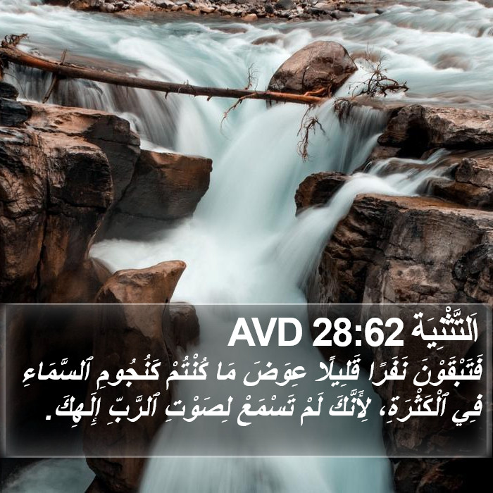 اَلتَّثْنِيَة 28:62 AVD Bible Study