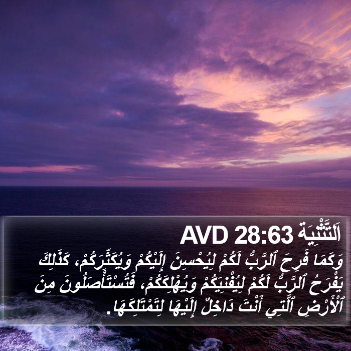 اَلتَّثْنِيَة 28:63 AVD Bible Study