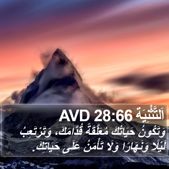 اَلتَّثْنِيَة 28:66 AVD Bible Study