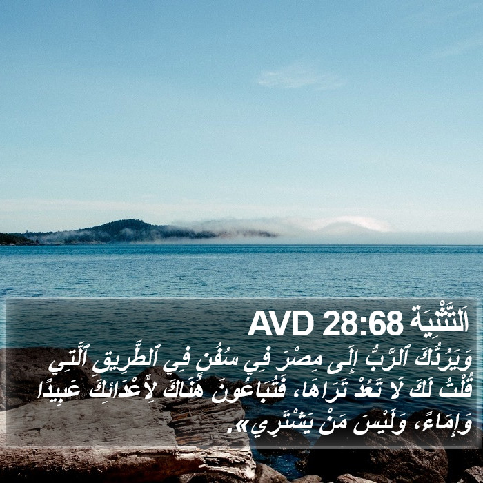 اَلتَّثْنِيَة 28:68 AVD Bible Study