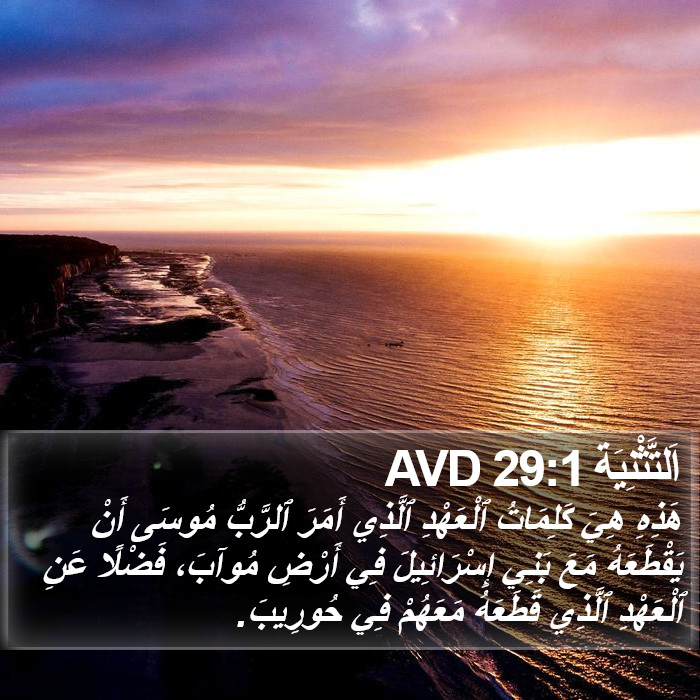 اَلتَّثْنِيَة 29:1 AVD Bible Study