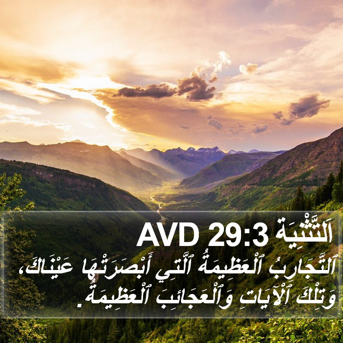 اَلتَّثْنِيَة 29:3 AVD Bible Study