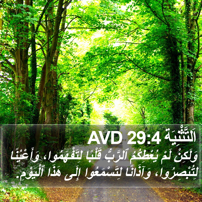 اَلتَّثْنِيَة 29:4 AVD Bible Study