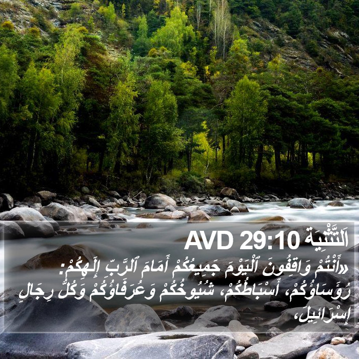 اَلتَّثْنِيَة 29:10 AVD Bible Study