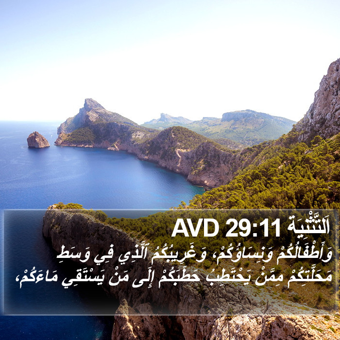 اَلتَّثْنِيَة 29:11 AVD Bible Study