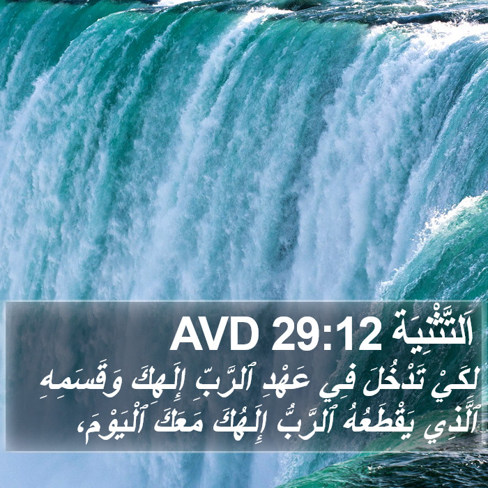 اَلتَّثْنِيَة 29:12 AVD Bible Study