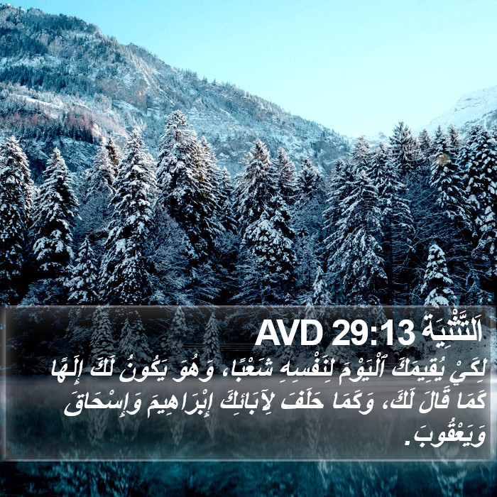 اَلتَّثْنِيَة 29:13 AVD Bible Study