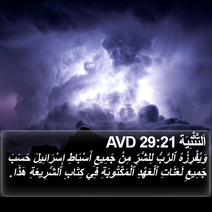 اَلتَّثْنِيَة 29:21 AVD Bible Study