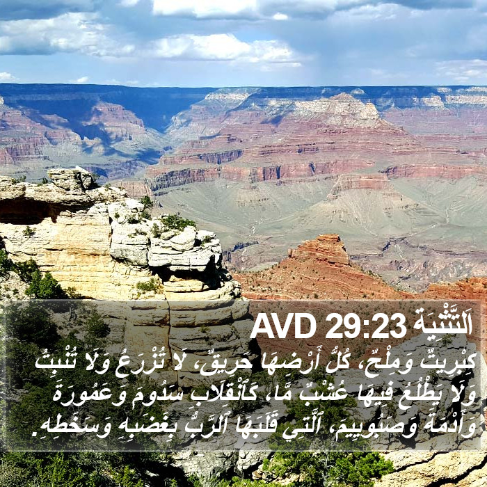 اَلتَّثْنِيَة 29:23 AVD Bible Study