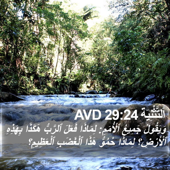 اَلتَّثْنِيَة 29:24 AVD Bible Study