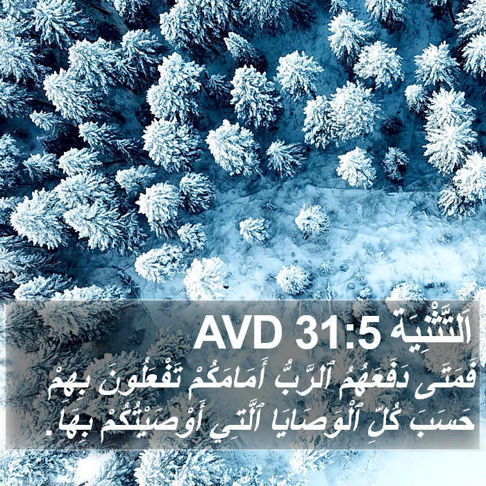 اَلتَّثْنِيَة 31:5 AVD Bible Study