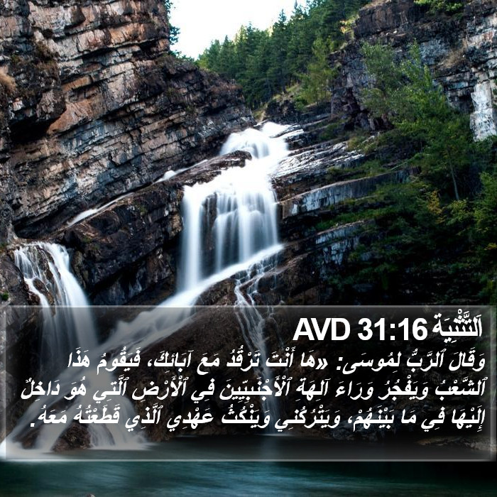 اَلتَّثْنِيَة 31:16 AVD Bible Study